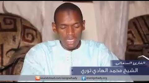 محمد الهادي توري في تلاوة لما تيسر من سورة النجم