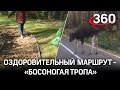 Длиннейшая босоногая тропа в России открылась в Лосином острове. Барефутеры в восторге