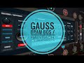 Gauss Field Looper (Bram Bos & Hainbach) (iOS) - Full Walkthrough - Beautiful Tape Looping AUv3.