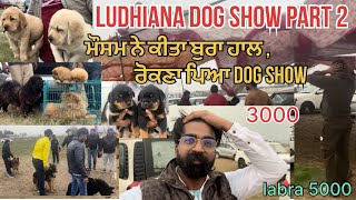 Ludhiana Dog show part 2 , mosam hoya khrab, street Dog market