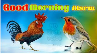 Good morning Alarm Birds voice sounds Ringtone koyal And other Birds screenshot 4