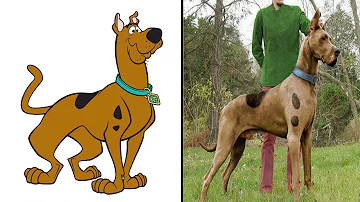 ¿Qué tipo de perro es Scooby Doo?