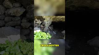 When Caves Were Homes… Then Came the Eviction