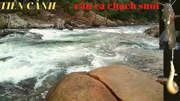 Câu cá nơi tiên cảnh gặp ngay ổ cá chạch suối. | Đinh Báo TV
