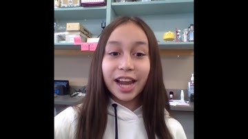 MDC Sting 2.16 Update