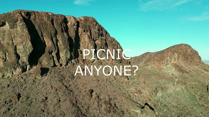 Picnic Anyone