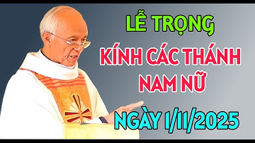 LỄ TRỌNG - KÍNH CÁC THÁNH NAM NỮ TRÊN TRỜI . NGÀY 1/11/2025 . BÀI GIẢNG MỚI NHẤT CỦA CHA HỒNG