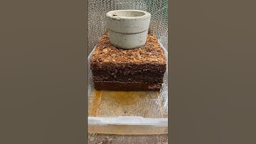 Your daily dose of satisfaction, enjoy this coco mulch timelapse #happyplants #pottingmix #potting