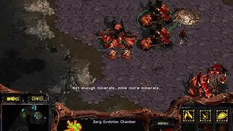 Starcraft Brood war Map Python 1.3 Zerg vs Protoss (16.11.28)