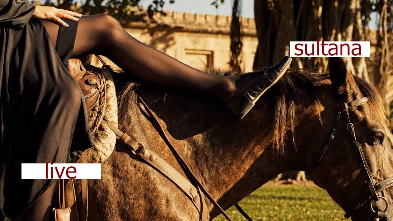 “The lady rides an old horse.” 🐴