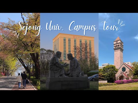 Sejong University Campus Tour + Room Tour