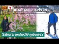 Is this Sakura or Snowing? Kitakami & Sapporo - Japan 🌸 | Sinhala Vlog | Sri Lankan Couple (ENG SUB)