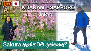 Is this Sakura or Snowing? Kitakami &amp; Sapporo - Japan 🌸 | Sinhala Vlog | Sri Lankan Couple (ENG SUB)