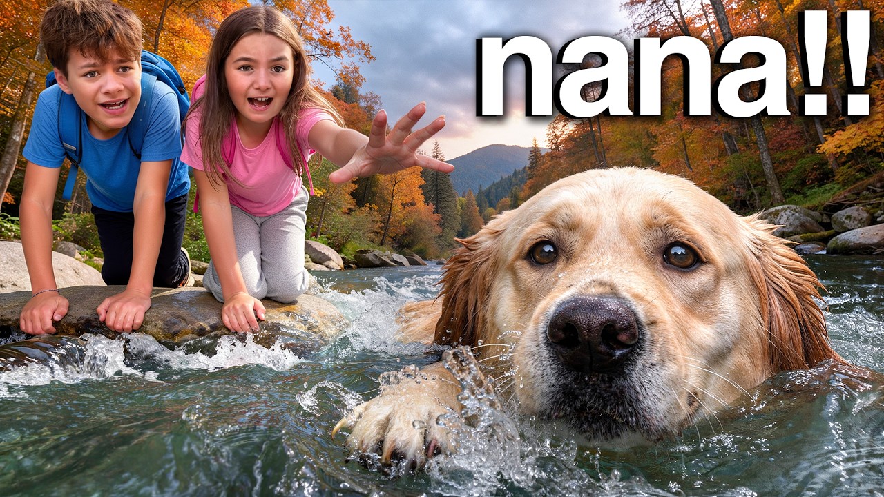 NANA a DISPARU