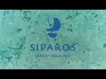 Siparos restaurant paros greece teaser 1 sodium burn creative  2020 simulacra studio