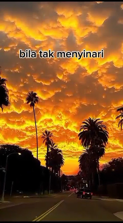 Sepenuh hati #laguviral #sadstatus #storywa