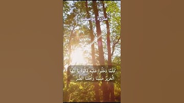 سورة يوسف صوت يريح القلب 🤍 Surat Yusuf voicing the heart 🤍💙