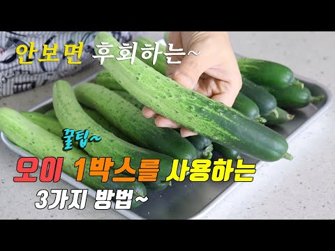 간단하고 맛있는 오이 한박스 요리 3가지~ [강쉪]  korea food recipe, 3 kinds of cucumber recipe,