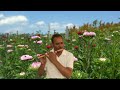 Tune O Rangeele Kaisa Jadu Kiya #flutesong #Romantic #lovesong on #flute by Shree Ram Verma Mp3 Song
