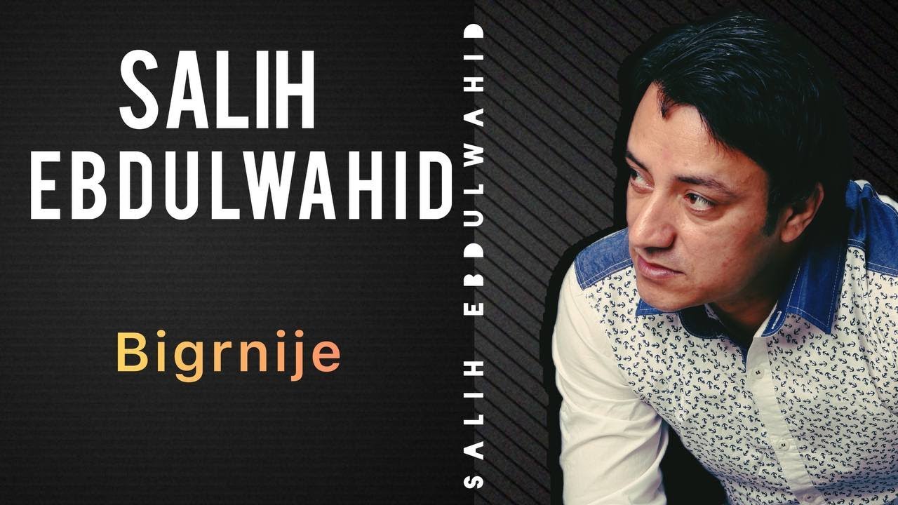 Salih Ebdulwahid - Bigrnije (Official Audio) | صالح عبدالواحد - بگرنژە