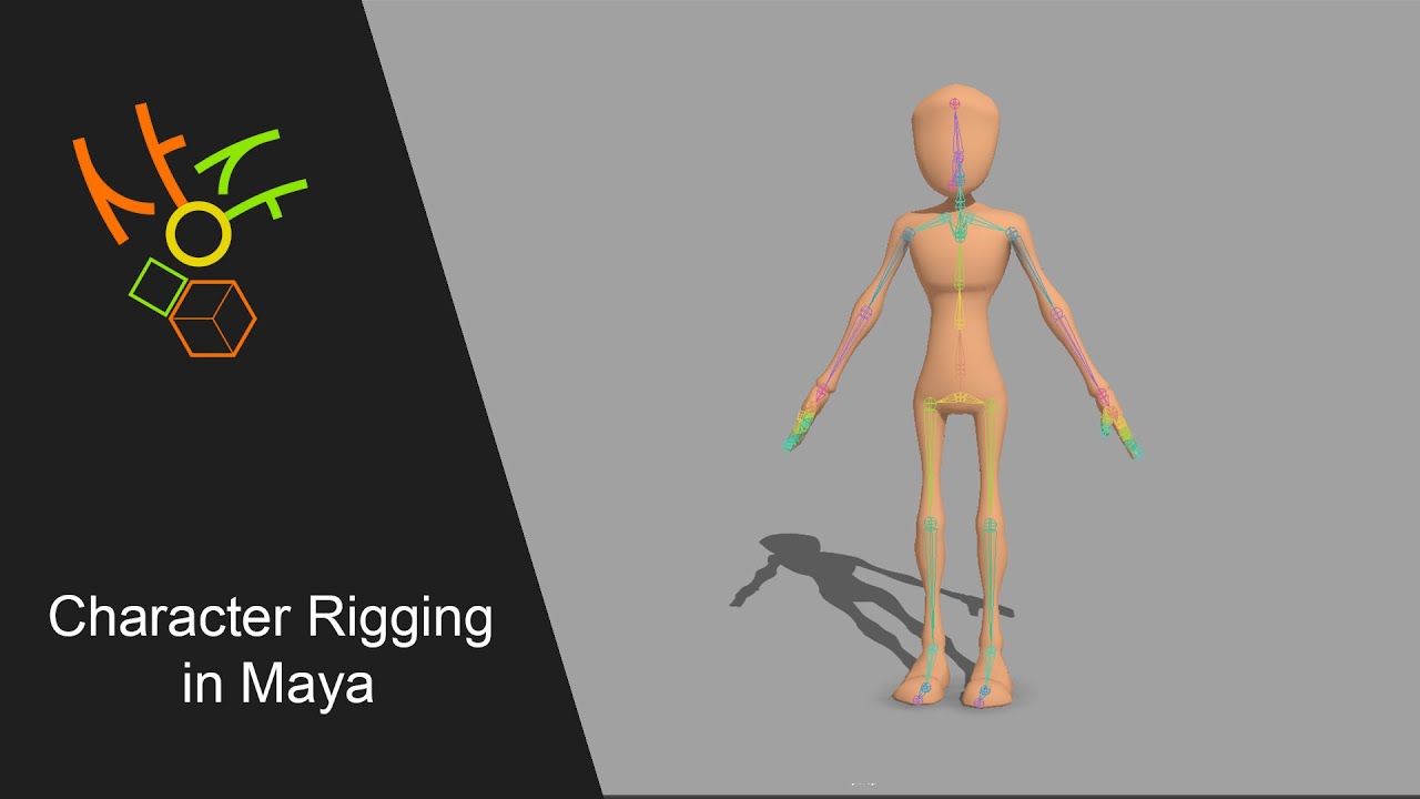 Character Rigging in Maya - bind skin torso - YouTube