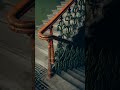 NOCTRA0983 #noctra #cinematicmusic #ambientmusic #atmospheric #aesthetic #visual #shortsfeed