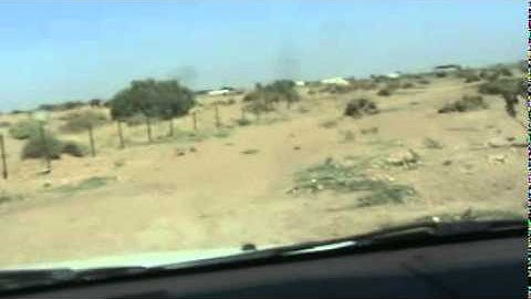 دحيم الحماد تلاوة من سورة ق يوم 25 رنيه 1431