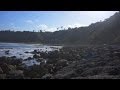 Felcam #13: Another Beautiful Day