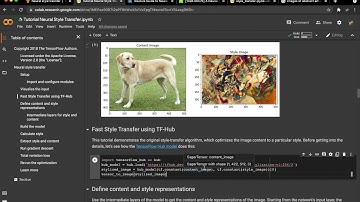 Neural Style Transfer using Tensorflow tutorial