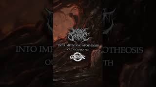 Into Impending Apotheosis Available Oct 7th | #Shorts #InsectInside #DeathMetal #BrutalDeathMetal