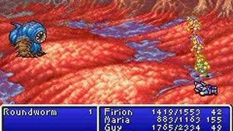 Final Fantasy II DOS (Part 28) - Roundworm