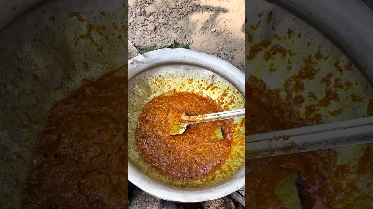 তাইরা কে কে করেছেন 