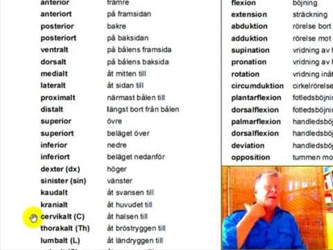 Video: Anatomisk Nomenklatur - Ordliste Over Medicinske Termer