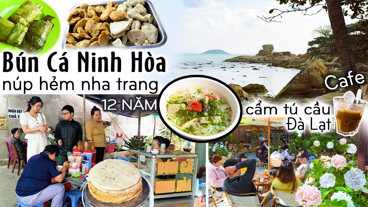 Nha Trang Quán Bún Cá Núp Hẻm Nổi Tiếng 12 Năm. Cafe Cẩm Tú Cầu Nhiều Như Đà Lạt