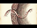 DNA — The Blueprint of Life