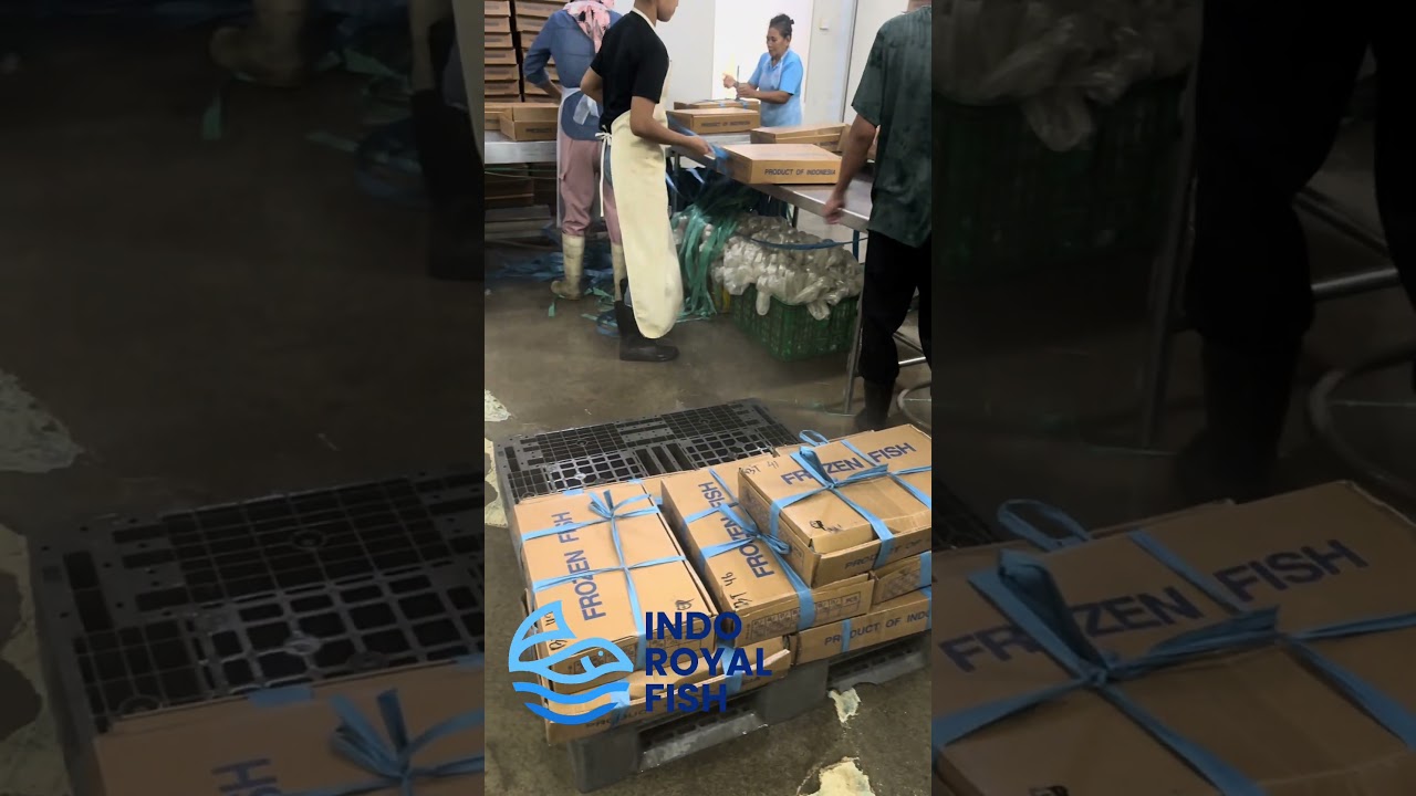 Malalugis Fish (Mackerel Scad) Export: Packed for the World! 📦🐟🌍