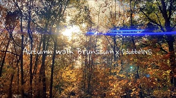 Autumn walk x DdubbelNS | 4k