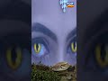 Maya | Shorts | Ep-01 | মায়া | Bengali New Serial | Tarang Bangla