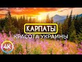 Карпаты - Красота Украины - Документальный фильм о культуре и традициях края