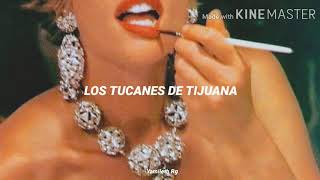 La Chica Sexy || Los Tucanes De Tijuana || Letra ||..
