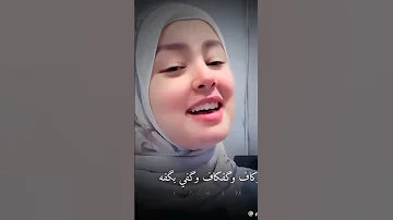 فهي هي و هي هي ثم هي هي و هي و هي 