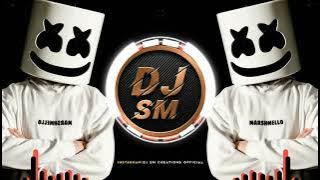 Big Fan | New Marathi Song (Dholki Mix) | DJ Dinesh PCMC X DJ AMR Punekar | || IT'S SM REMIX