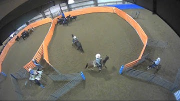 Big Sky Ranch Sorting Saddle Series #2 - Youth Ranch Hand - Round #1 - Ride #10