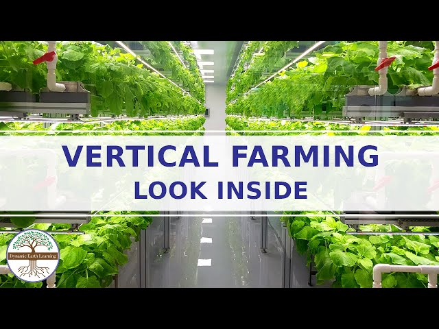 Vertical Farming  - farming method for the future -  indoor growing method - growing crops inside