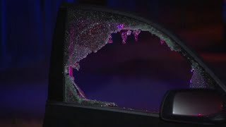 Man uses sledgehammer to smash windows of car and kill a woman's dog