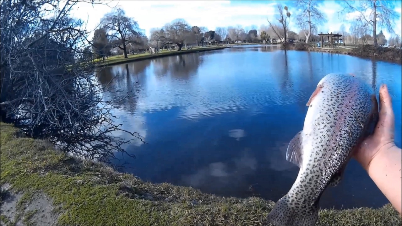 Trout fishing with mini jigs YouTube