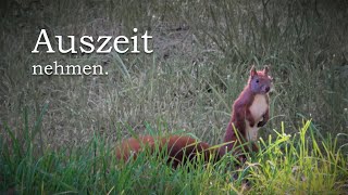 Mut Zur Orientierung - Eine Auszeit Nehmen...