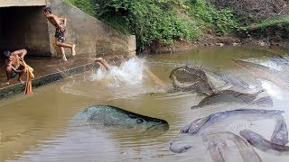 The New Amazing Net Fishing - 2 Poor Children Fishing Use Cast Nets Catch Fish A lot Fish