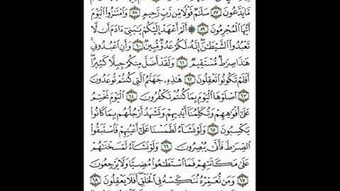 سورة يس الجزء الثاني بصوت الشيخ عمرو باكير