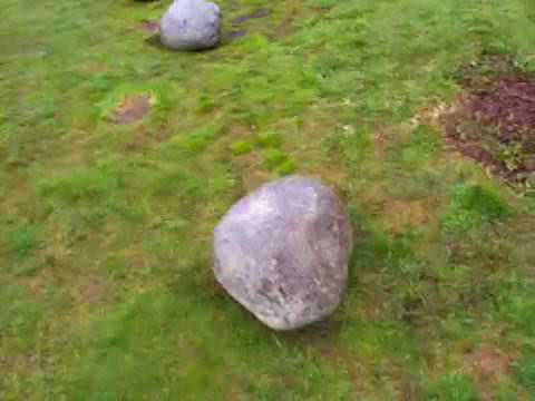 კალა -ლაგურკა